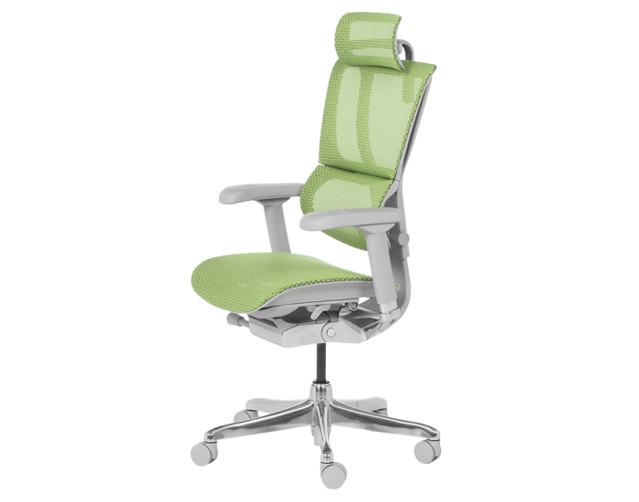 Ергономичен стол ERGOHUMAN IOO ELITE 2 - сива рамка - зелен