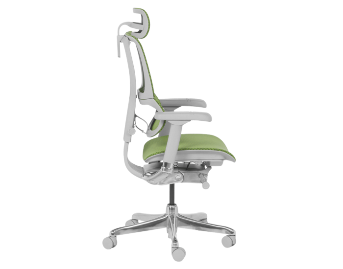 Ергономичен стол ERGOHUMAN IOO ELITE 2 - сива рамка - зелен
