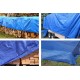 Покривало – платнище Bradas STANDARD, 2x3m, 50 гр/м2 – синьо